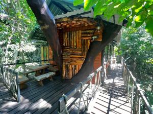 Zahrada ubytování Khao Sok Tree House Resort