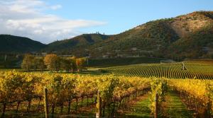 Phong cảnh thiên nhiên gần căn hộ