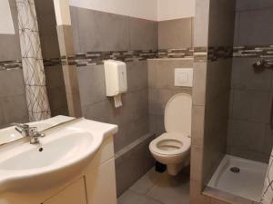 a bathroom with a sink and a toilet at Auberge de Jeunesse HI Le Mont-Dore in Le Mont-Dore