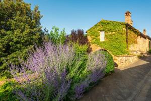 A garden outside Piccolo Borgo Gagnoni