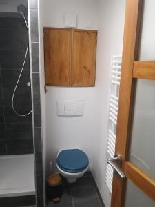 a bathroom with a blue toilet and a shower at Appartement au calme à Pernes 1 chambre in Pernes