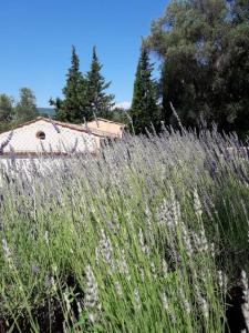 Paesaggio naturale nelle vicinanze della casa vacanze