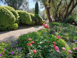 Giardino di Pool House Matisse in large park with heated pool