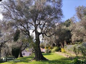Giardino di Pool House Matisse in large park with heated pool