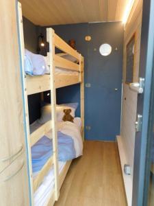ein Schlafzimmer mit Etagenbetten mit einem Teddybär auf dem unteren Etagenbett in der Unterkunft Hausbót na Vltavě in Hradišťko