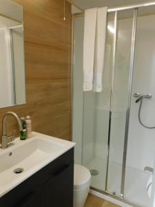 ein Bad mit einer Dusche, einem Waschbecken und einem WC in der Unterkunft Hausbót na Vltavě in Hradišťko