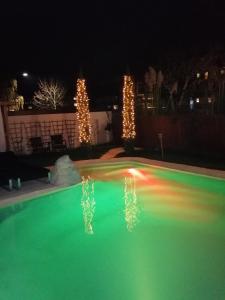 een zwembad met kerstverlichting in een tuin 's nachts bij Belle Etage geräumige Ferienwohnung mit Pool und Sauna in Lorsch