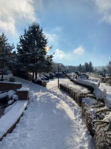 a snow covered path with benches and a tree at Hotel Admiral in Lipno nad Vltavou