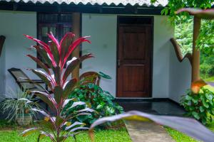 Zahrada ubytování Nimsara Lodge Sigiriya