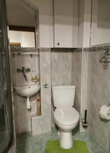 La salle de bains est pourvue de toilettes et d'un lavabo. dans l'établissement Velvet Trojdena, à Varsovie