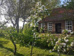 Zahrada ubytování Uilengeluk
