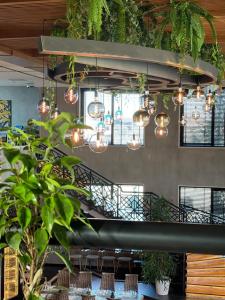 Galeriebild der Unterkunft Ajman Park & Resorts in Shijak