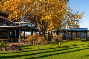 Galeriebild der Unterkunft Ajman Park & Resorts in Shijak