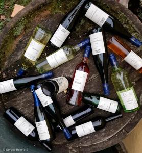 Nápoje v ubytování Weingut Gorges-Reinhard