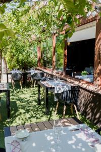Сад в Acta Arthotel