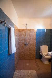 a bathroom with a shower and a toilet at Le Grand Calao in Ouagadougou