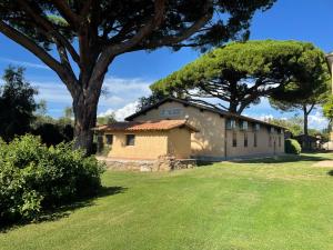 una casa vieja con un árbol en el patio en Agriturismo Il Vignone en Castagneto Carducci