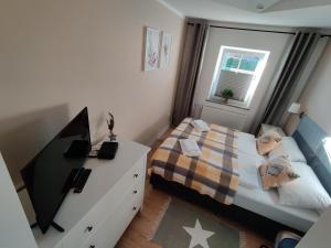 um quarto com uma cama e uma secretária com uma televisão em Apartament Lea w Kudowie Zdrój em Kudowa-Zdrój