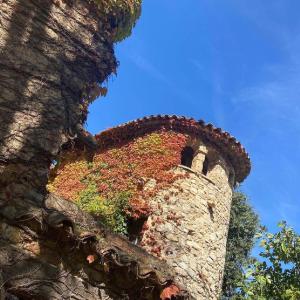 a building covered in ivy on the side at Domaine Le Petit Hameau in Cotignac