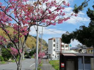 Un paisaje natural cerca del ryokan