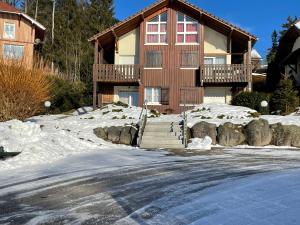 a house in the snow with a road in front at Les Prairies du lac in Gérardmer