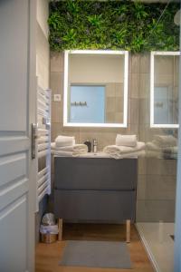 een badkamer met een wastafel en een raam met planten bij La Vue des Papes - Hypercentre - Parking in Avignon