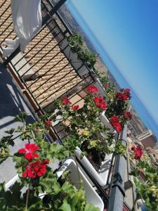 a group of flowers in planters on a building at Tesori di Girgenti in Agrigento