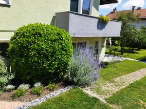 a garden in front of a house with a large bush at Apartma JERMAN - Cerknica in Cerknica