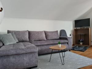 a living room with a gray couch and a table at Apartment Charlie in Seliste Dreznicko