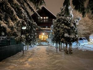 a snow covered yard with trees and a house at Vila Zorile in Poiana Brasov