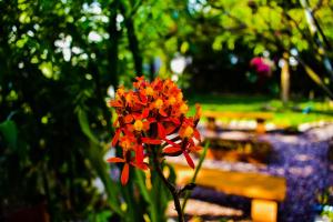 Fotografie z fotogalerie ubytování The Willow B&B v destinaci Urubamba