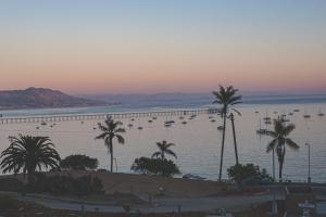 a large body of water with palm trees and a pier at Flying Flags Avila Beach in Avila Beach +2 photos
