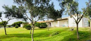 Gallery image of Residence Isola dei Mori in SantʼAntìoco