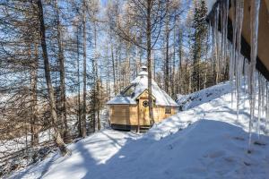Alpin D'Hôme Hôtel & Spa v zimě