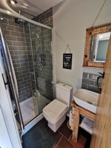 a bathroom with a toilet and a shower and a sink at Cosy Coppice Cottage in Whitchurch