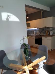 Kuchyň nebo kuchyňský kout v ubytování SočaLand Apartmaji