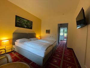 TV a/nebo společenská místnost v ubytování Hotel Kull von Schmidsfelden