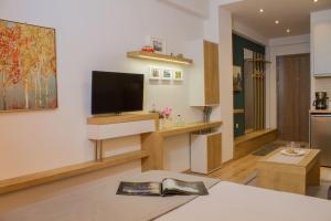 A television and/or entertainment centre at Holiday Meteora A