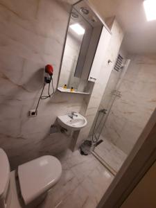 ein Bad mit einem WC, einem Waschbecken und einer Dusche in der Unterkunft Masal Hotel in Büyükada