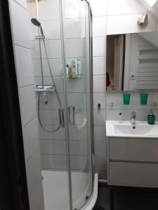 a bathroom with a shower and a sink at CHARMANT APPARTEMENT in Thonon-les-Bains