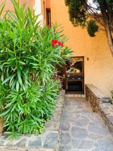 una puerta a una casa con un montón de plantas en El Mayul 2' centre, plage, WiFi, au calme, clim, parking,, en Collioure