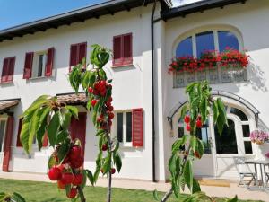 Edifici on està situat el bed and breakfast