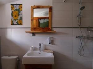 a bathroom with a sink and a mirror and a toilet at Podołynia in Dwernik