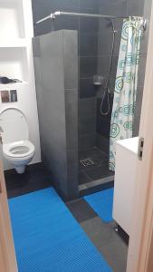ein Badezimmer mit einer Dusche und einem WC mit blauen Matten in der Unterkunft Apartament 1 Budiu in Târgu Mureș