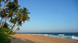 a sandy beach with palm trees and the ocean at Tropical Garden in Tangalle