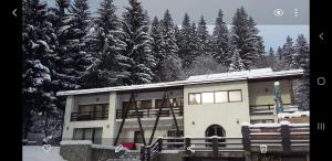 普雷代亚尔Timis Valley, Casa Eni&Dan的一座有雪覆盖的树木的建筑