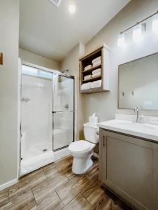 a bathroom with a toilet and a shower and a sink at Flying Flags Avila Beach in Avila Beach