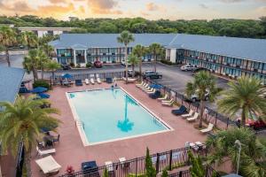 
a beach with a lot of palm trees and a pool of water at Ocean Coast Hotel at the Beach Amelia Island in Fernandina Beach
