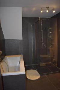 Kylpyhuone majoituspaikassa Huis te Moerbeke-Waas