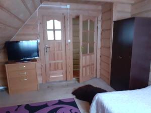 布科維納塔特贊斯卡的住宿－Pod Modrzewiem，一间卧室设有一张床、一台电视和一个窗口。